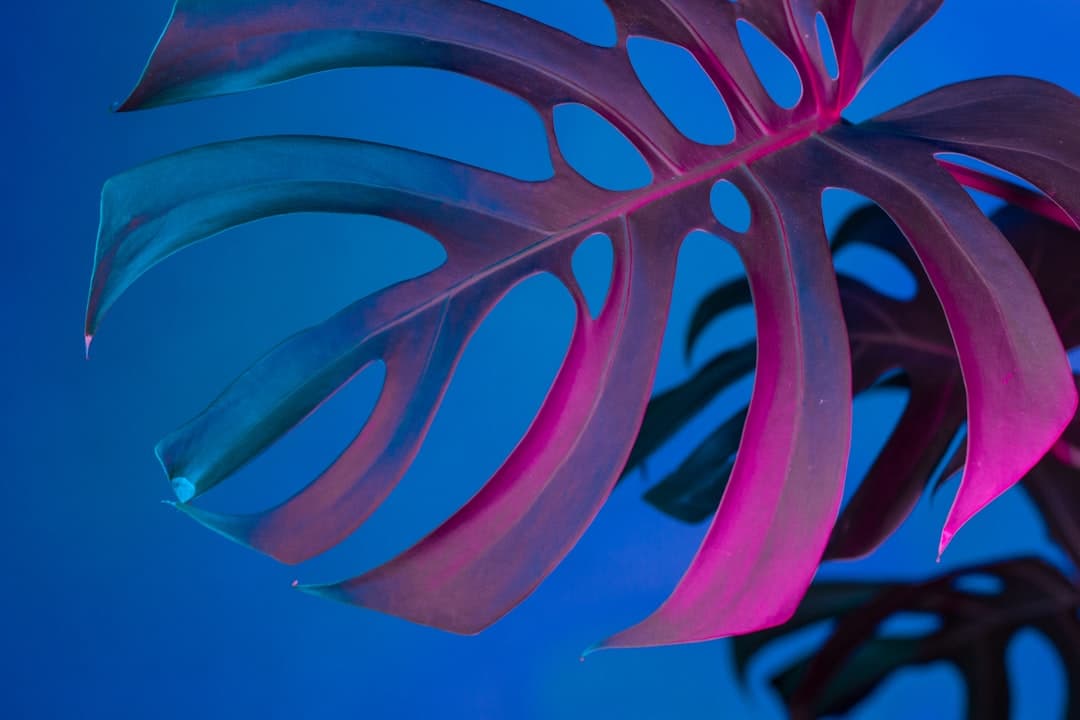 Tropical foliage